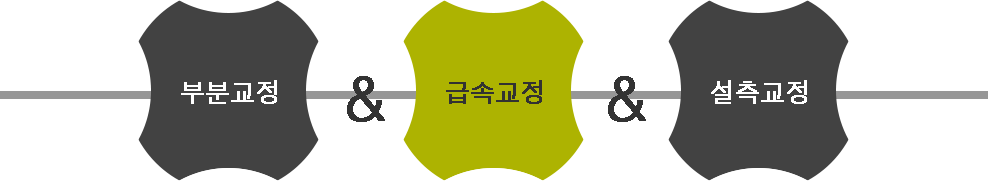 부분교정&급속교정&설측교정